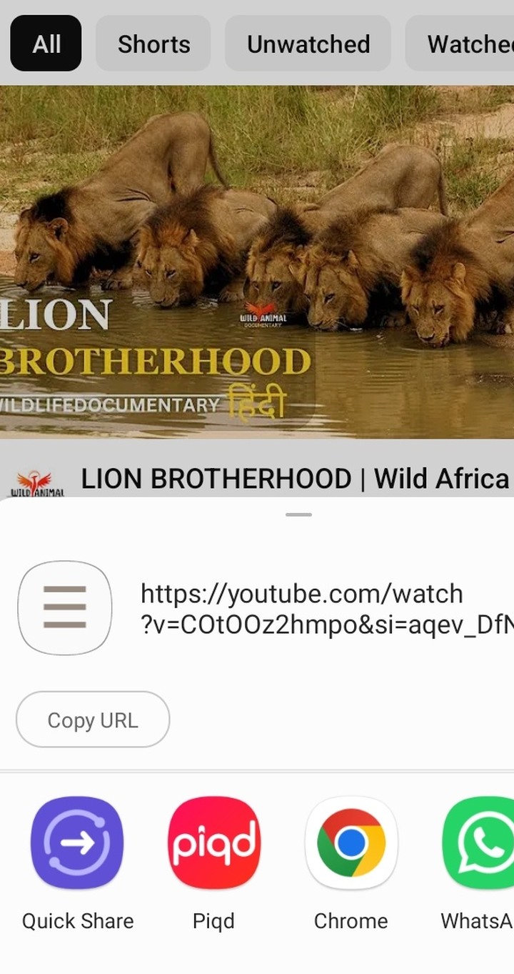A YouTube video's share menu with Piqd listed as a destination